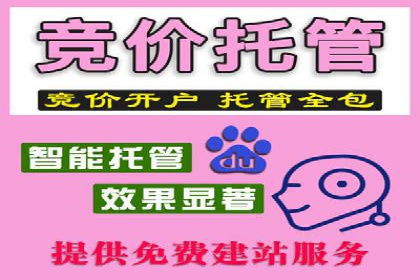 SEM竞价代运营公司案例成功秘诀